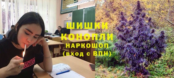 СК Пролетарск