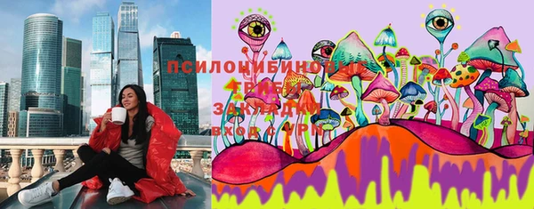 СК Пролетарск