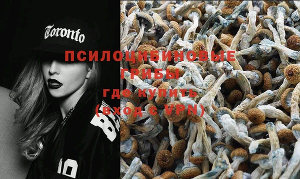 мяу мяу мука Приозерск