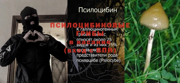 мяу мяу мука Приозерск
