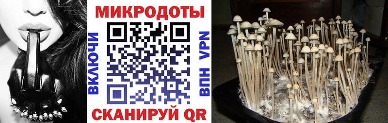 Псилоцибиновые грибы Psilocybe  Фрязино 