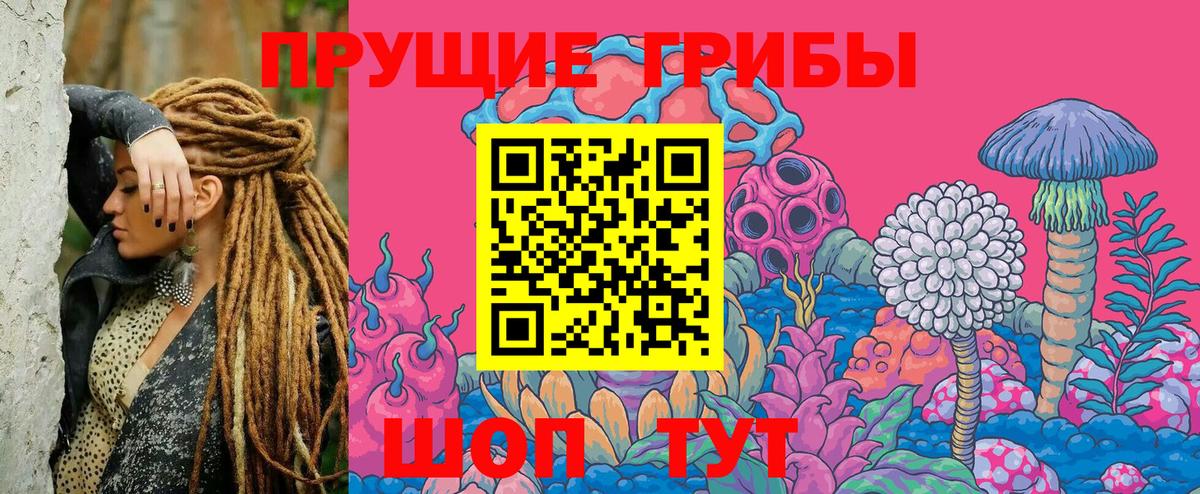 Галлюциногенные грибы Cubensis Фрязино