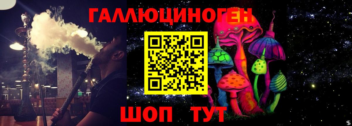 Фрязино  Галлюциногенные грибы Psilocybe  где можно купить   Вход с VPN 